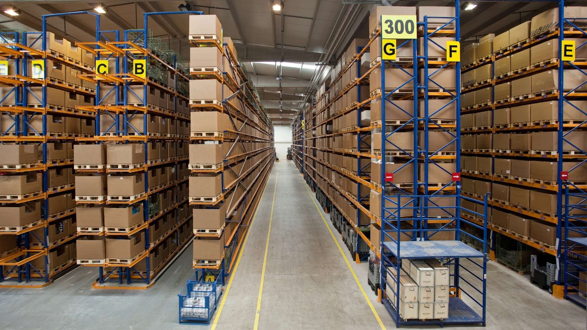 Elección Estratégica de Transportes, Seguros e Incoterms