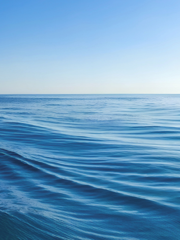 SERVICIOS DE IMPORTACIÓN